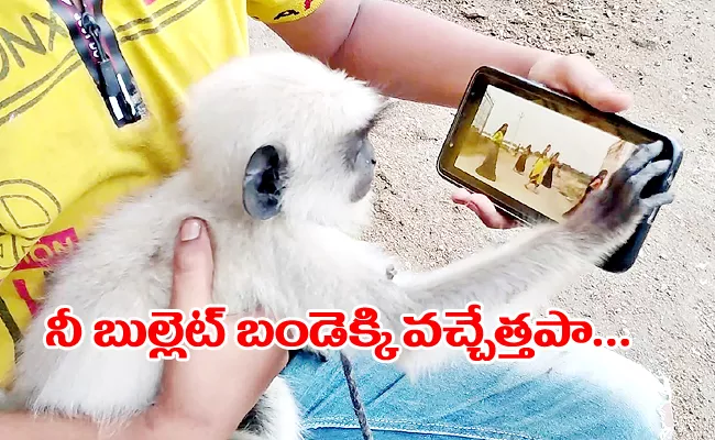 Bullet Bandi Song: Hill Monkey Drinking Milk For song At Mahabubabad - Sakshi