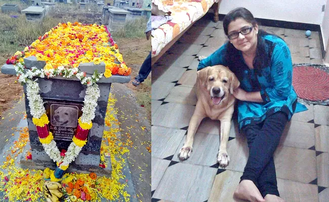 International Dog Day 2021:A Special Day for Mans Honest Best Friend - Sakshi