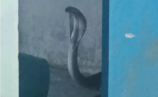 Cobra Snake Hulchul In Papayyapeta Government High School Warangal - Sakshi