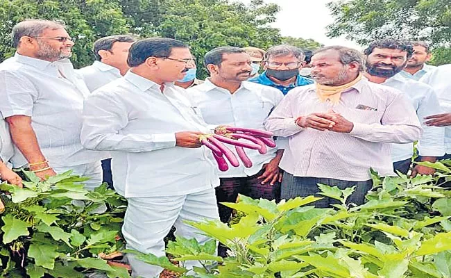 Minister Singireddy Niranjan Reddy Said New Power Reforms Are Becoming Burden To Farmers - Sakshi