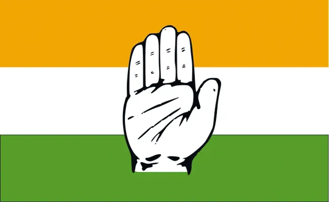 Congress Party Responsibilities of Parliamentary Constituencies to Working Presidents - Sakshi