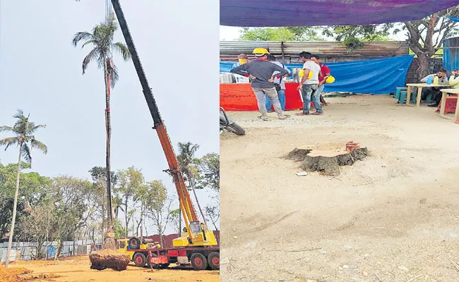 Hyderabad: Authorities Clearing Palm Trees on Gandipeta Road - Sakshi