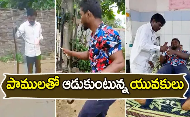 Snake Bite Tragedy In Adilabad District - Sakshi