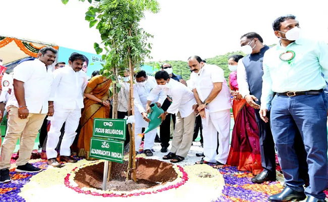 CM YS Jagan Comments In Jagananna Paccha Thoranam Vana Mahotsavam - Sakshi