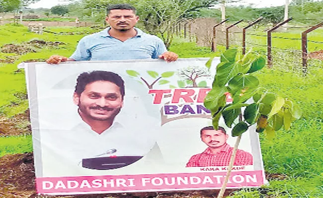 Inspired by AP CM YS Jagan Tree Bank and started a planting program in Solapur district - Sakshi