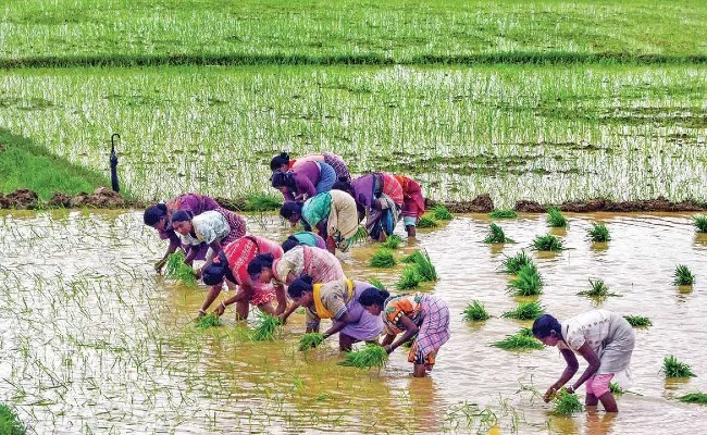 PM Modi to Release 9th Instalment of PM KISAN Scheme on August 9 - Sakshi