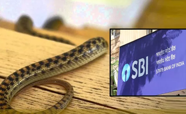 Snake Entered Alaram In Atmakur SBI  - Sakshi