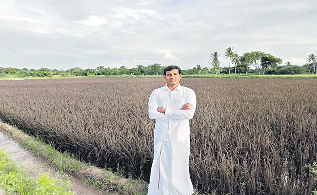 Hardware Engineer turns organic farmer in Ananthapuram - Sakshi