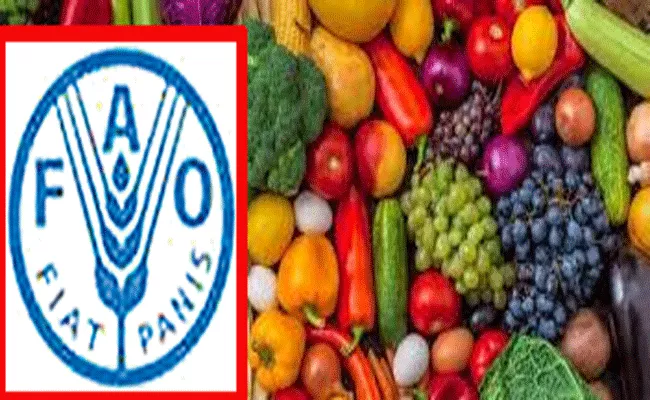 FAO on Fruits and Vegetables on Webinar‌ september 20t  - Sakshi