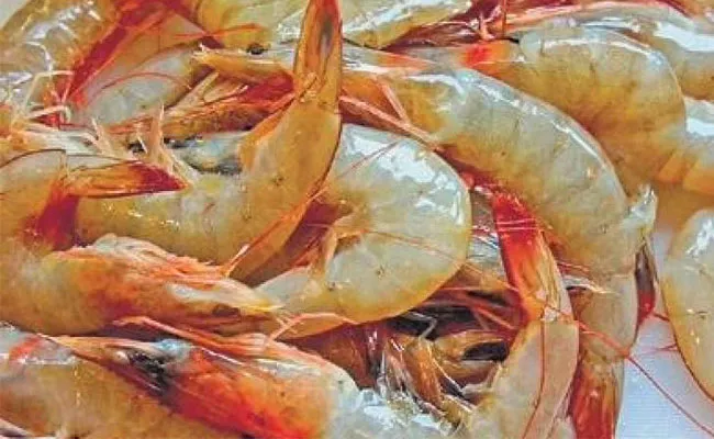 Prawn Farming Increases Profits To Farmers Andhra Pradesh - Sakshi