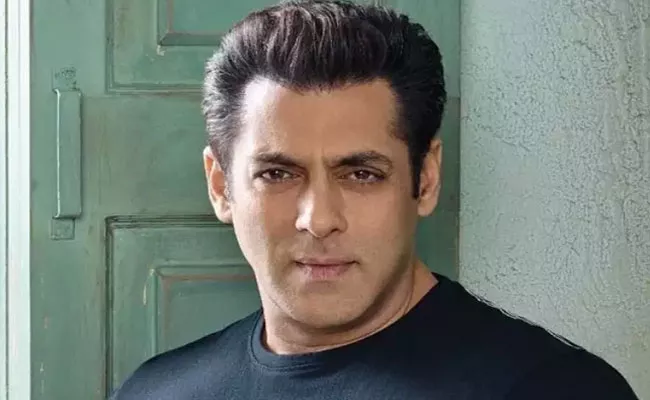 Salman Khan Drops Out Hindi Remake Of Veeram - Sakshi