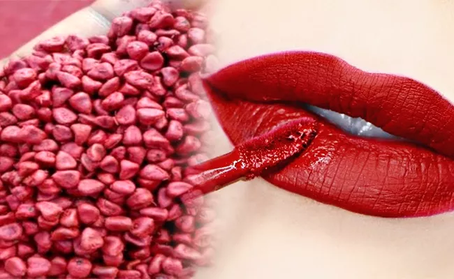 Annatto, Lipstick Seeds Grown In West Godavari AP - Sakshi