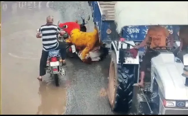 Man Survives Miraculously As Tractor Moves Over His Head In Viral Video - Sakshi