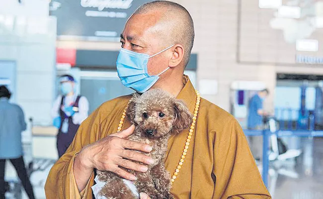 China: Buddhist Monk Saves 8000 Strays, Becomes Dogs Best Friend - Sakshi