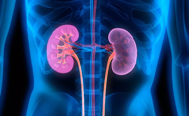 Kidney Failure Symptoms, Causes And Treatment In Telugu - Sakshi