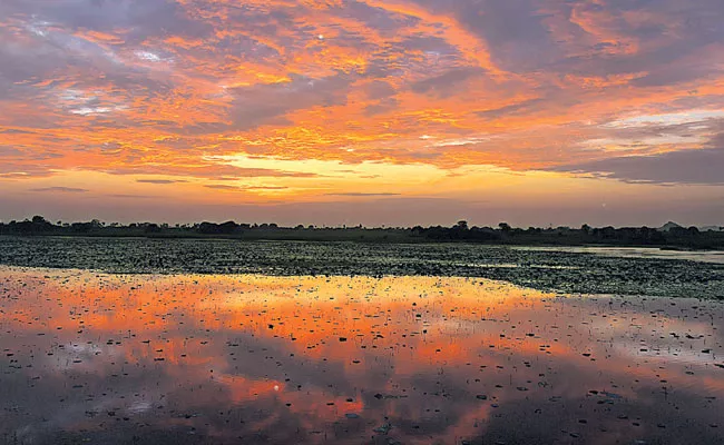 Photo Feature: Saffron Clouds, Peddapalli, Milk Queue, Fishing, Yellampalli Project - Sakshi