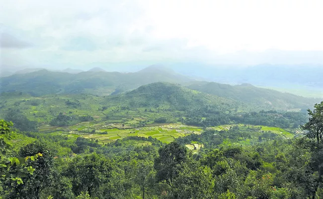 Decreasing forests in the Eastern Ghats - Sakshi