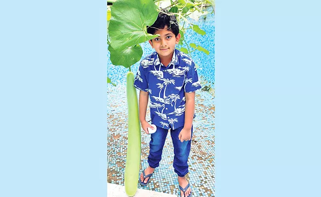 Hyderabad: 8 Year Old Kid Makes Farms Vegetables Own - Sakshi