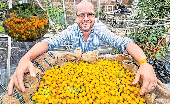 Photo Feature: Cherry Tomatoes World Record, Haiti Migrants, Moon - Sakshi