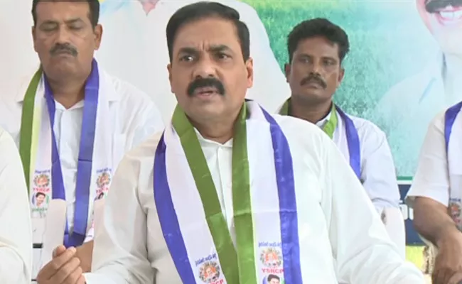 MPTC And ZPTC: YSRCP Victory Celebrations In Venkatagiri In Nellore - Sakshi