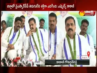 MPTC And ZPTC: YSRCP Victory Celebrations In Venkatagiri In Nellore