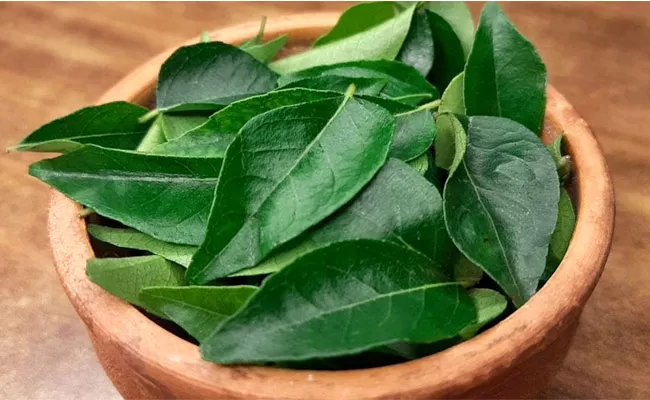 Curry Leaves May Help To Manage Cholesterol In Your Body - Sakshi