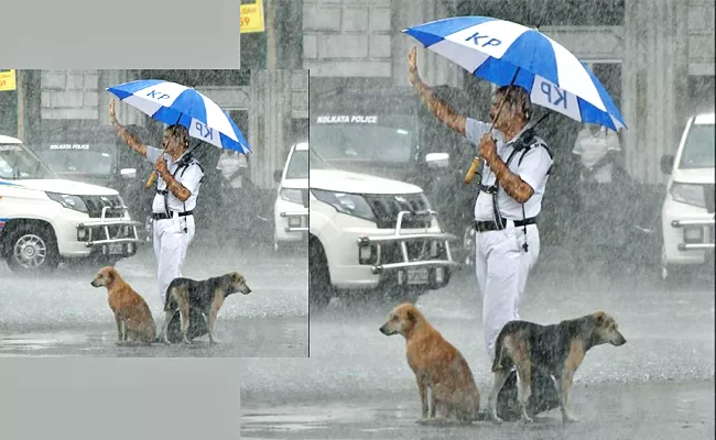 Traffic Constable Tarun Kumar Humanity Towards Dogs In Rain At Kolkata - Sakshi