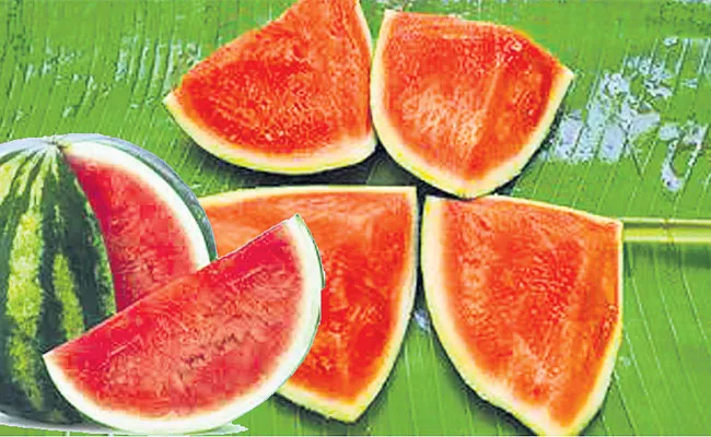 Kerala Agricultural University Developed Seedless Watermelon - Sakshi