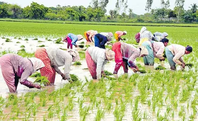 Preparing For Alternative Cultivation Telangana Agriculture Department - Sakshi