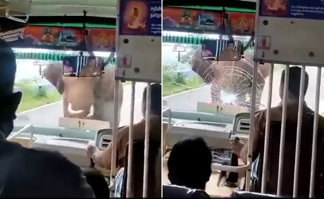 Angry elephant charged at a bus in Tamil Nadu shattering its windshield - Sakshi