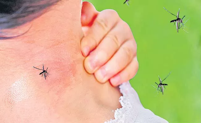 Rainy Season: Mosquitoes Can Spread These Diseases Need To Know - Sakshi