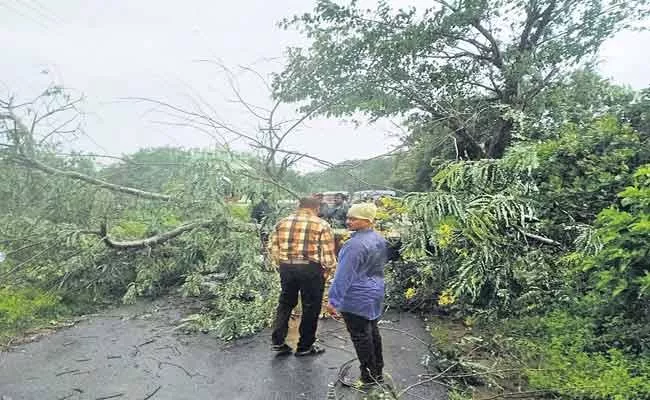 Teams of officers inspecting damaged roads in 5 districts Andhra Pradesh - Sakshi