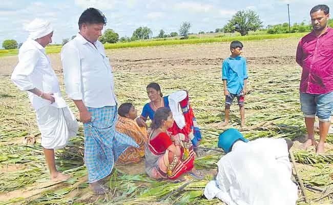 Three Farmers Deceased In Telangana - Sakshi