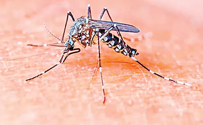 40 Children Among 50 To Die Of Dengue In UP District - Sakshi