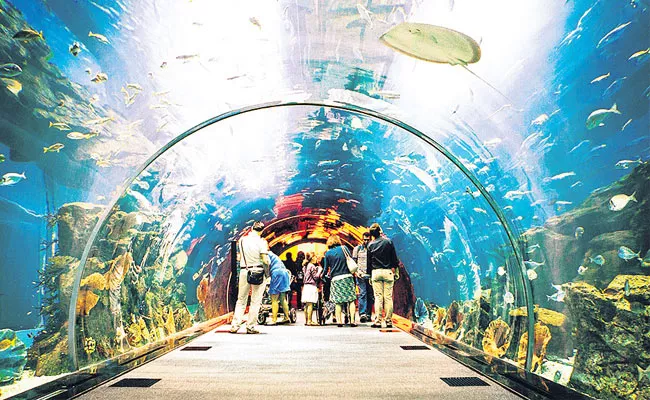 Tunnel Aquarium Works Continuous In Visakhapatnam - Sakshi