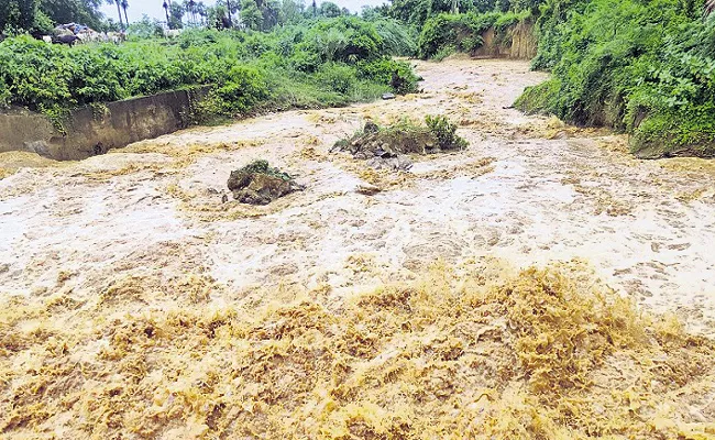 Heavy Rains In Andhra Pradesh for next two days - Sakshi