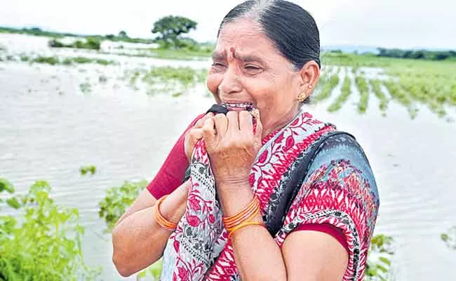 Heavy Rains: Agriculture Field Havoc Farmers Grief Telangana - Sakshi