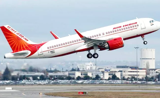 Air India Subsidiaries Monetization Process Began - Sakshi