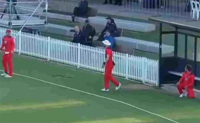 Viral Video Of Three South Australia Fielders Trying To Bizarre Catch Vs Queensland - Sakshi