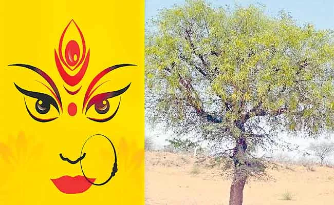 MP Joginapally Santosh Guest Column On Shami Tree - Sakshi