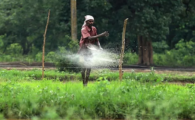 Cabinet Approves Hike in DAP Fertiliser Subsidy by RS 450 per bag - Sakshi