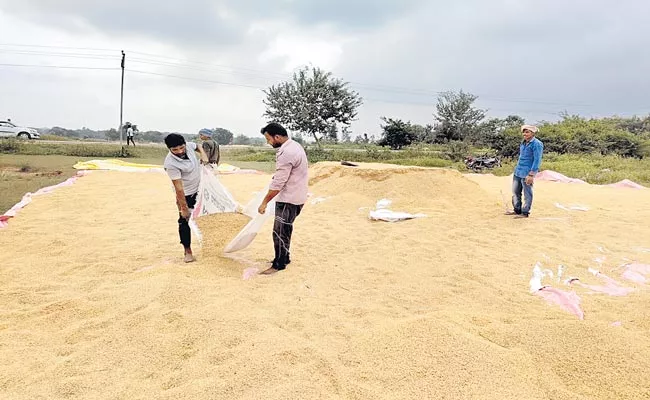 Telangana: Process Of Procuring Grains In The TS State Will Start Soon - Sakshi