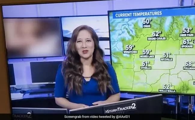 Shocking: US TV Channel Airs x rated Clip During Weather Report - Sakshi