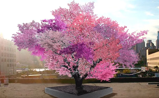 This Professor Created A Tree That Can Produce 40 Different Kinds Of Fruits - Sakshi