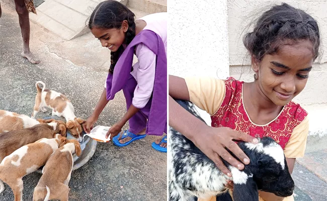 Girl Haritha Helping Food And Milk Packets To Dogs And Goats At Kurnool - Sakshi