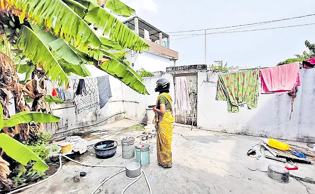 Nesting Birds Scare One Of The Family In Nakrekal Town - Sakshi