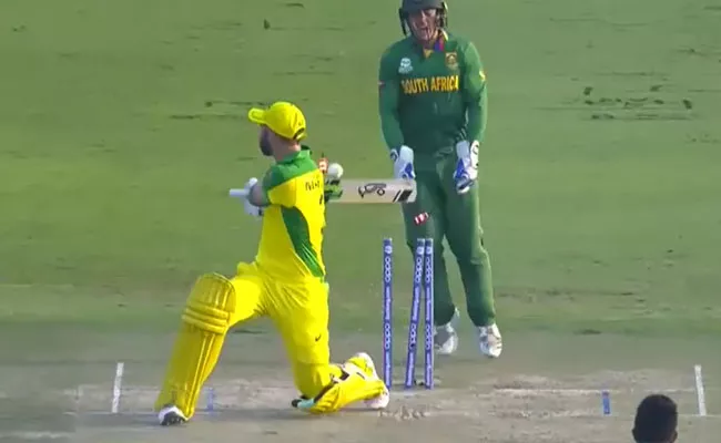 T20 World Cup 2021: Fans Troll Maxwell Clean Bowled After Trying Switch Hit - Sakshi