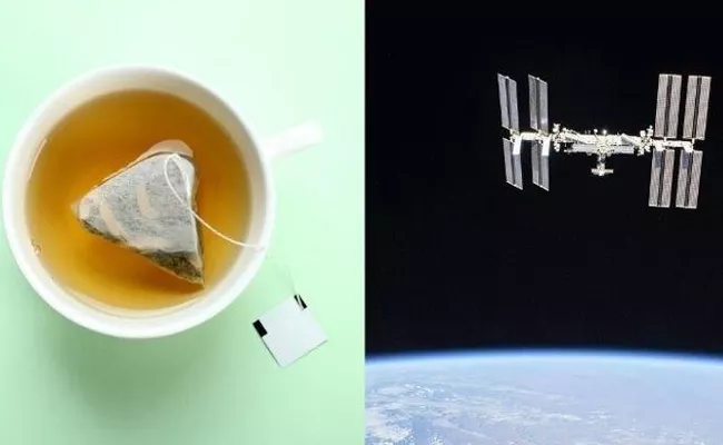 Astronauts Used A Teabag To Save 150 Billion Space Station   - Sakshi