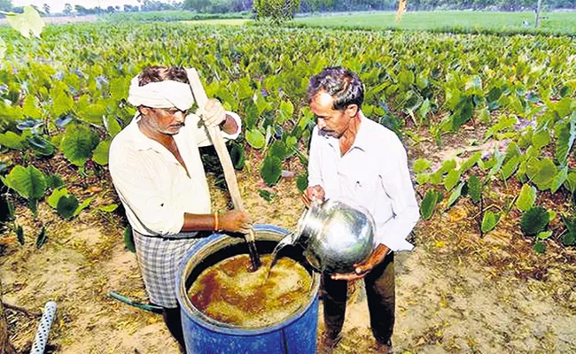 Research in nature cultivation Andhra Pradesh - Sakshi