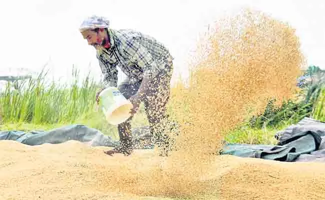 Paddy Purchasing Centers Lack Of Infrastructure In Telangana - Sakshi